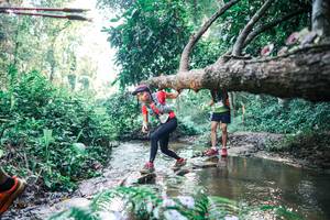 BIB: 
                            <button type="button" onclick="openModal(25434839)" class="btn btn-primary btn-sm float-right btn-popup" data-toggle="modal" data-target=".modal-high-quality">
                        <i class="fas fa-shopping-cart"></i> Add to Cart
                    </button>
                                            <button type="button" onclick="isThisMe(25434839, true)" class="btn btn-success btn-sm float-right btn-popup btn-isme hidden" data-toggle="tooltip" data-placement="bottom" title="นี่คือรูปของคุณใช่ไหม คลิกที่นี่เพื่อเอาเข้าอัลบั้ม">
                        <i class="fas fa-plus"></i> Add to album
                    </button>
                    <button type="button" onclick="isThisMe(25434839, false)" class="btn btn-warning btn-sm float-right btn-popup btn-isnotme hidden">
                        <i class="fas fa-ban"></i> Remove from album
                    </button>